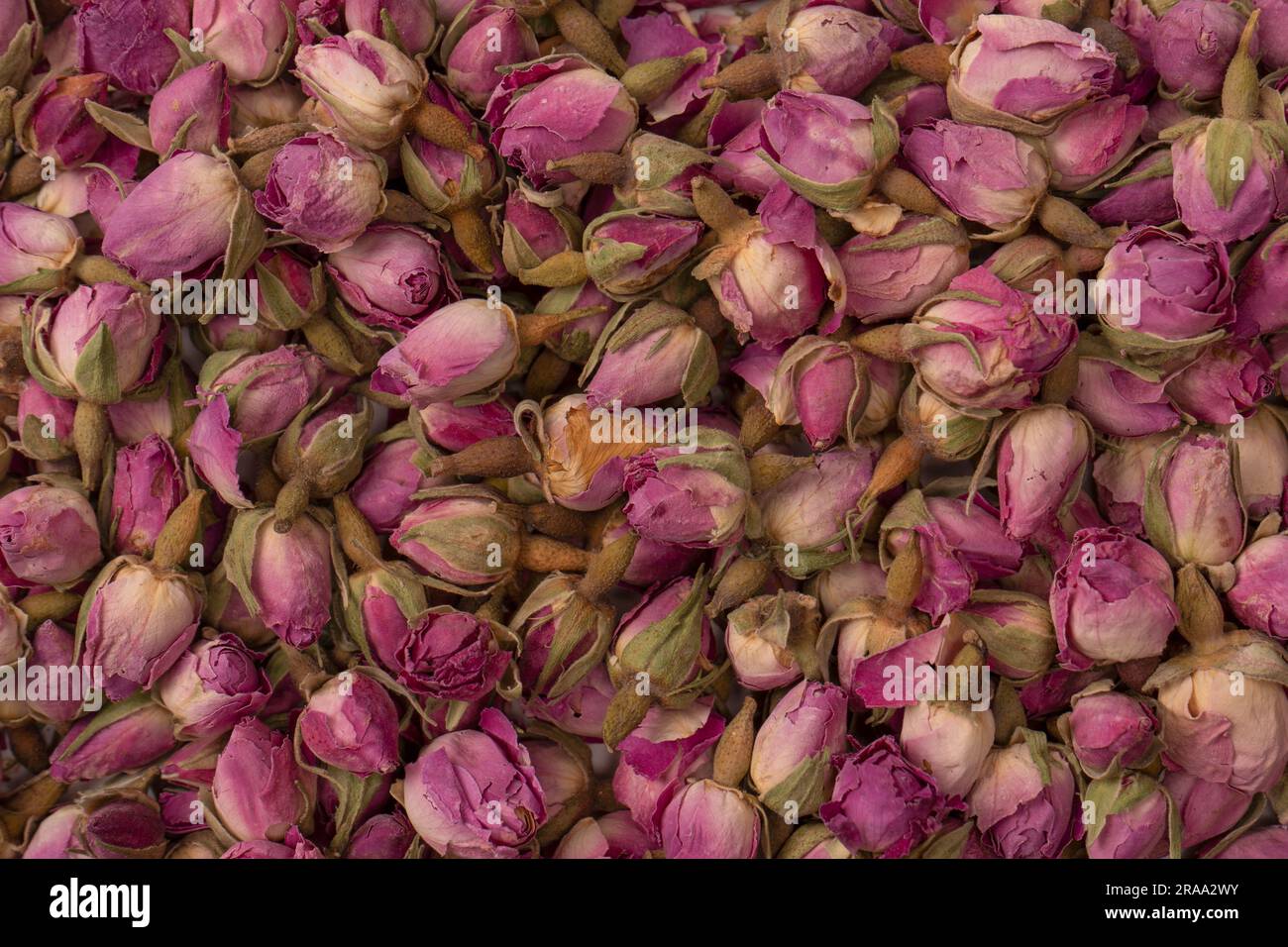 Dry tea roses isolated on a white background. Stock Photo
