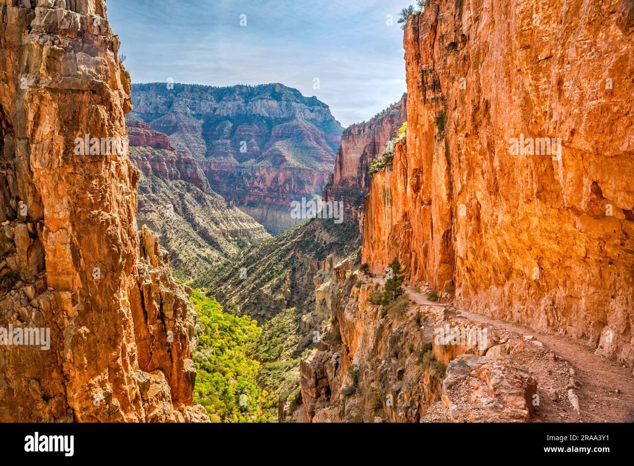 Sheer walls over North Kaibab Trail in Roaring Springs Canyon, below