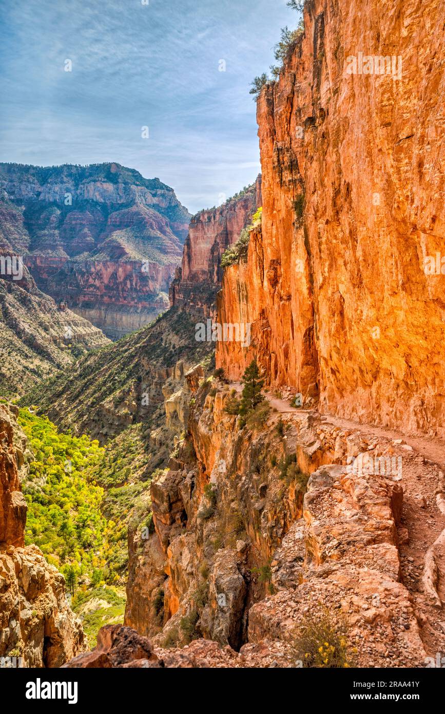 Sheer Walls Over North Kaibab Trail In Roaring Springs Canyon Below