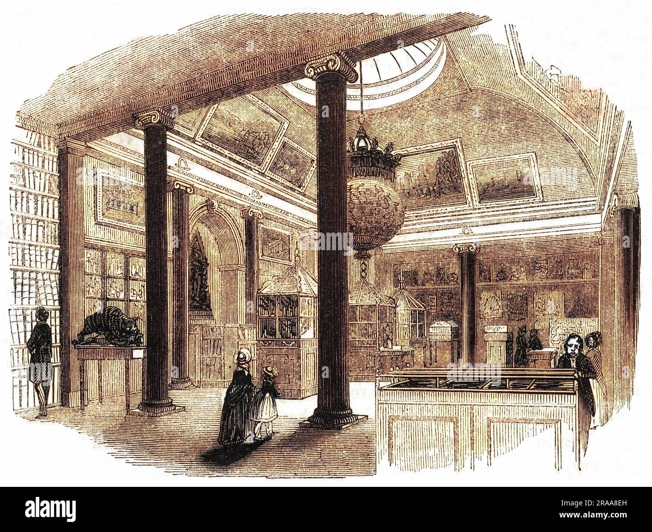 Interior of the company's museum.     Date: 1830s Stock Photo