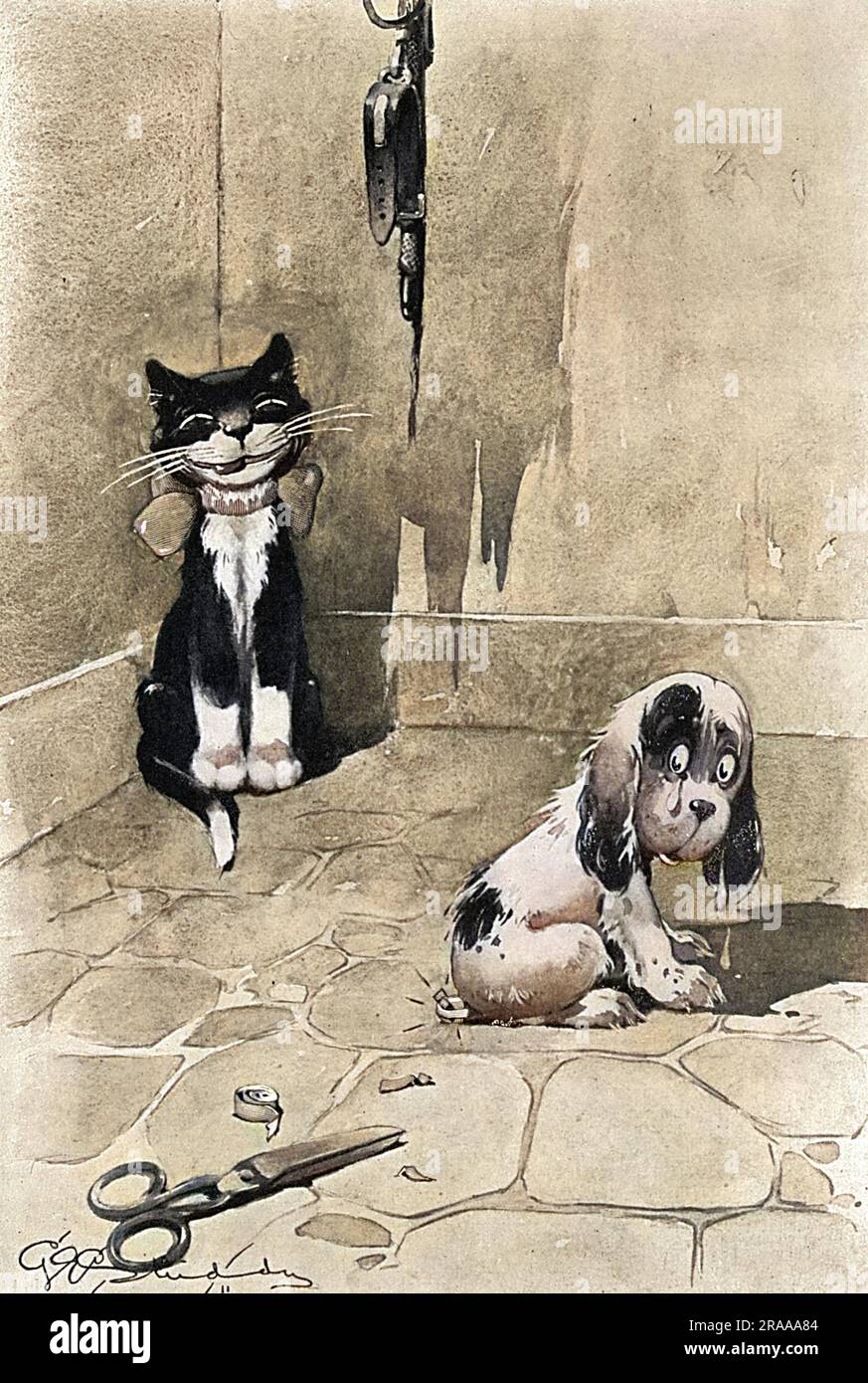 Early illustration by G. E. Studdy showing a tearful Spaniel with a recently docked tail being grinned at by a smug cat. George Ernest Studdy (1878-1948), was the creator of 'Bonzo', a small dog with saucer-like eyes and indiscriminate breeding who first appeared in the Sketch in 1922. The 'Bonzo' craze swept the world resulting in postcards, annuals, toys and other merchandise. Studdy also produced a large body of work for the Sketch before and after Bonzo including his later creation, Ooloo the cat. His early cartoon dogs were simply known as the 'Studdy Dog' until readers demanded a name an Stock Photo