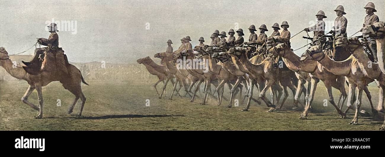 A British Camel Corps in the Sudan during the First World War.  A similar Camel Corps to that shown helped to defeat the troops of the Sultan of Darfur (Ali Dinar) with Brtish casualties less than 30 compared to around 1000 of the enemy.     Date: 1916 Stock Photo