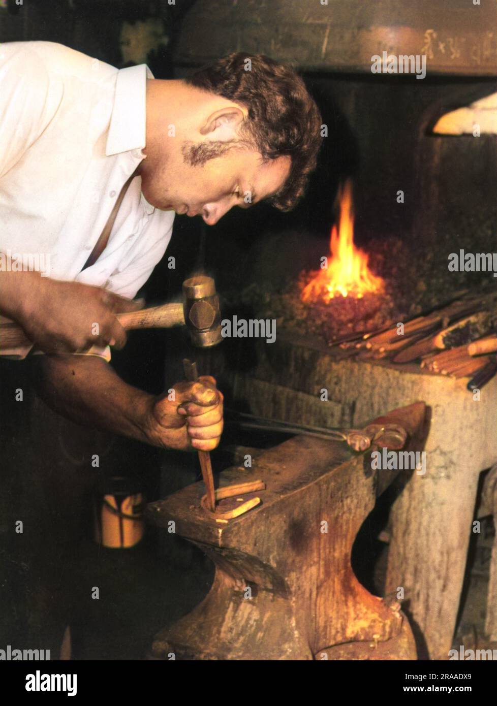 A young farrier (blacksmith) uses a hammer and chisel on his anvil to shape a horseshoe.     Date: 1960s Stock Photo