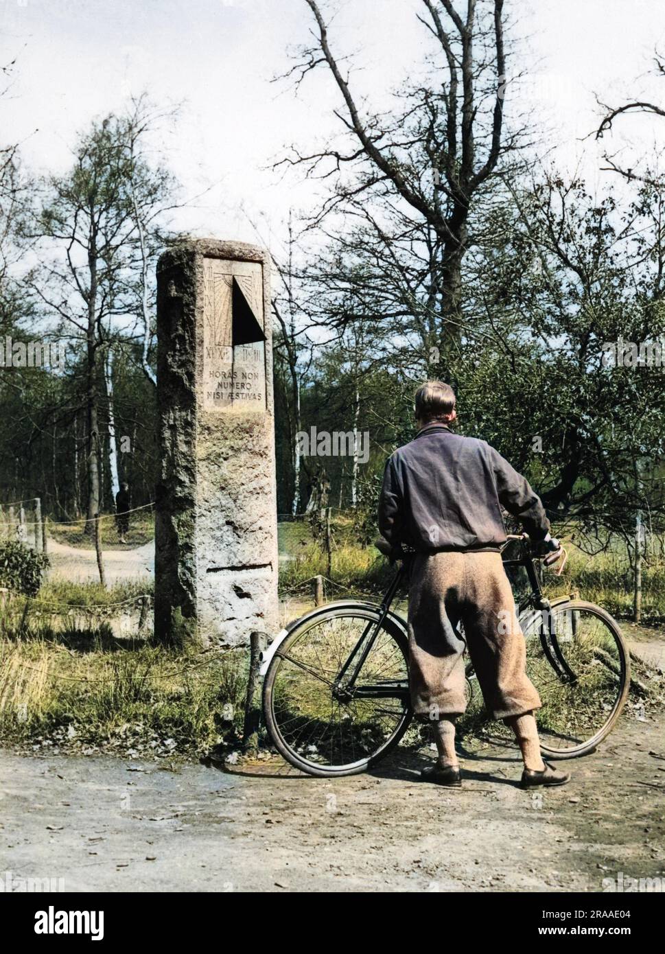 A cyclist wearing plus fours, stops to read the inscription on the sundial monument to daylight saving campaigner William Willet, Petts Wood, Chislehurst, Kent, England.     Date: 1939 Stock Photo