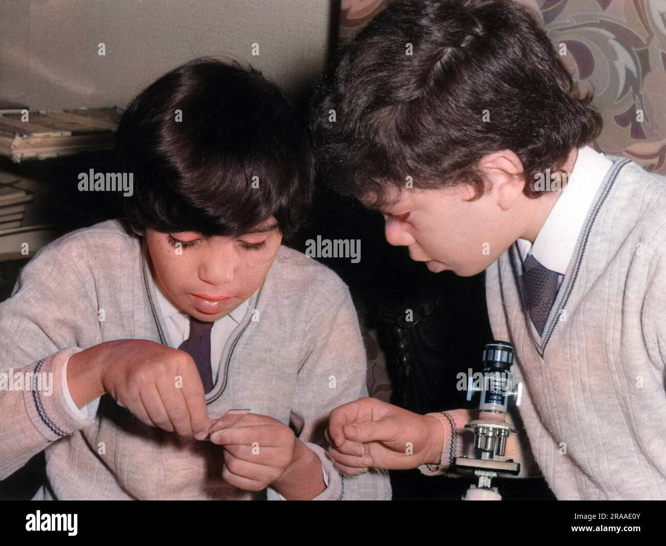 Two schoolboys with a microscope in a classroom laboratory.     Date: early 1970s Stock Photo