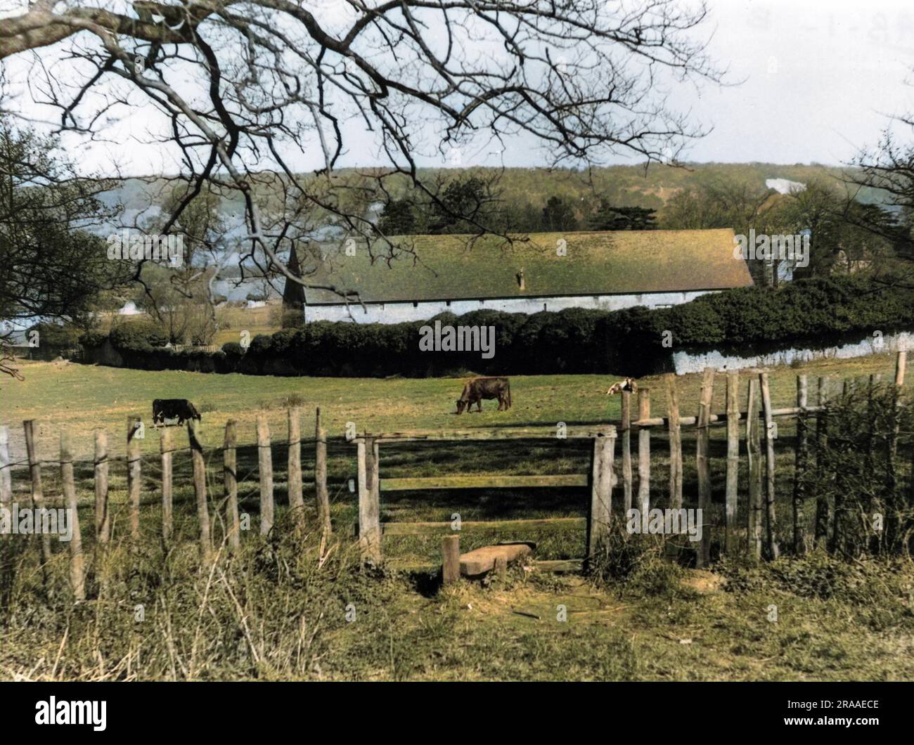 Boxley Abbey, near Maidstone, Kent, England, was founded by William de