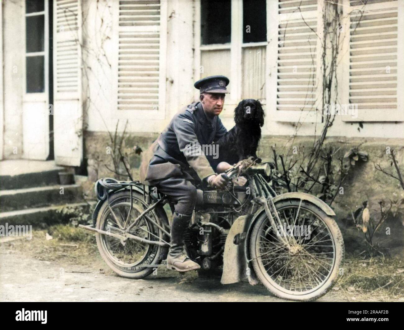 An officer of the Tank Corps on a Douglas motorbike with a spaniel dog (Stunter, the tank corps mascot), at Neulette, northern France, towards the end of the First World War.     Date: 03-May-18 Stock Photo