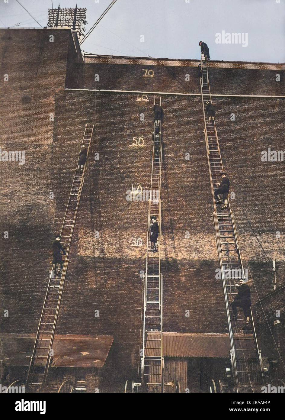 Firefighters demonstrating various lengths of wheeled escape ladders