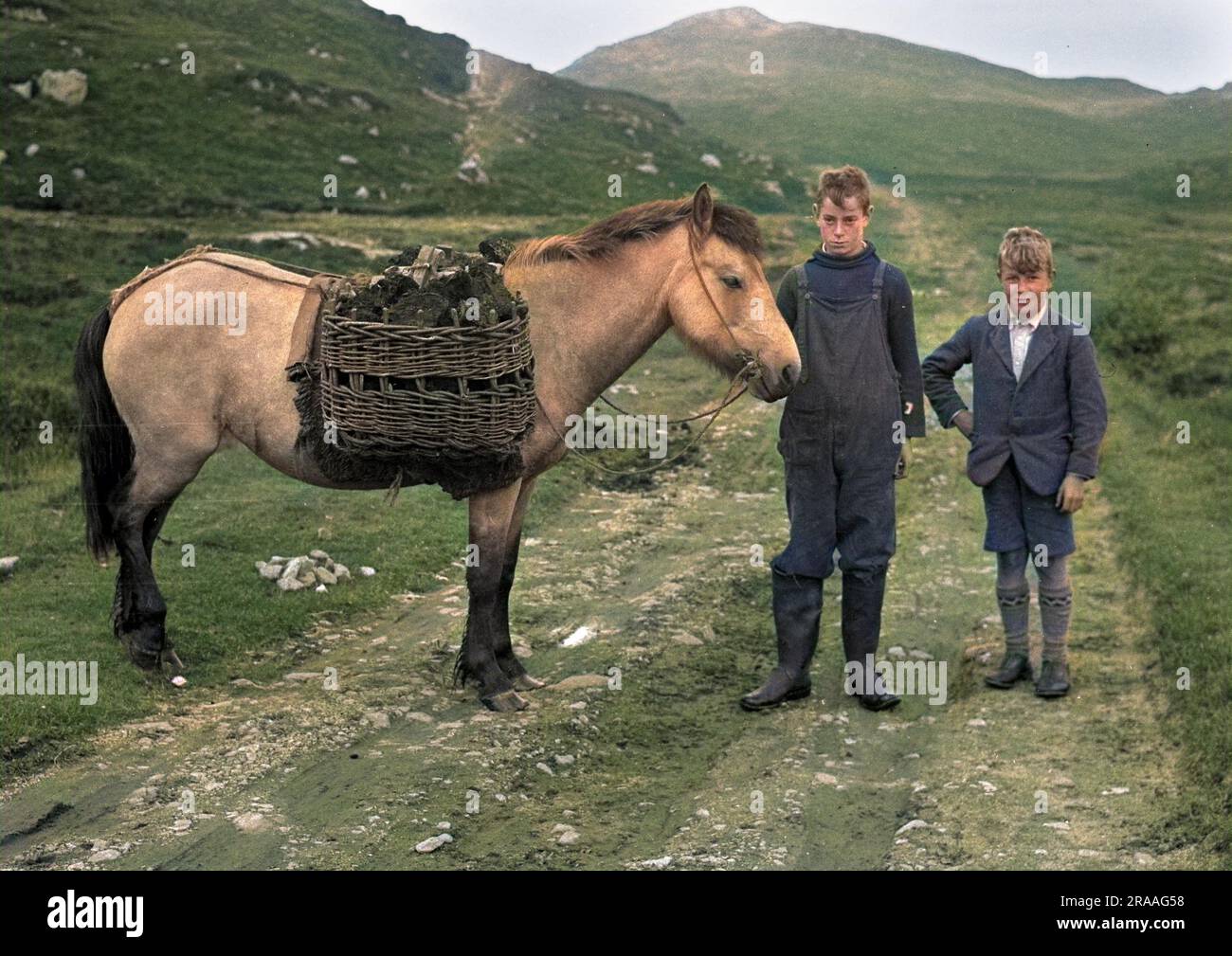 Two boys with a pony on a country lane in Scotland. The wickerwork