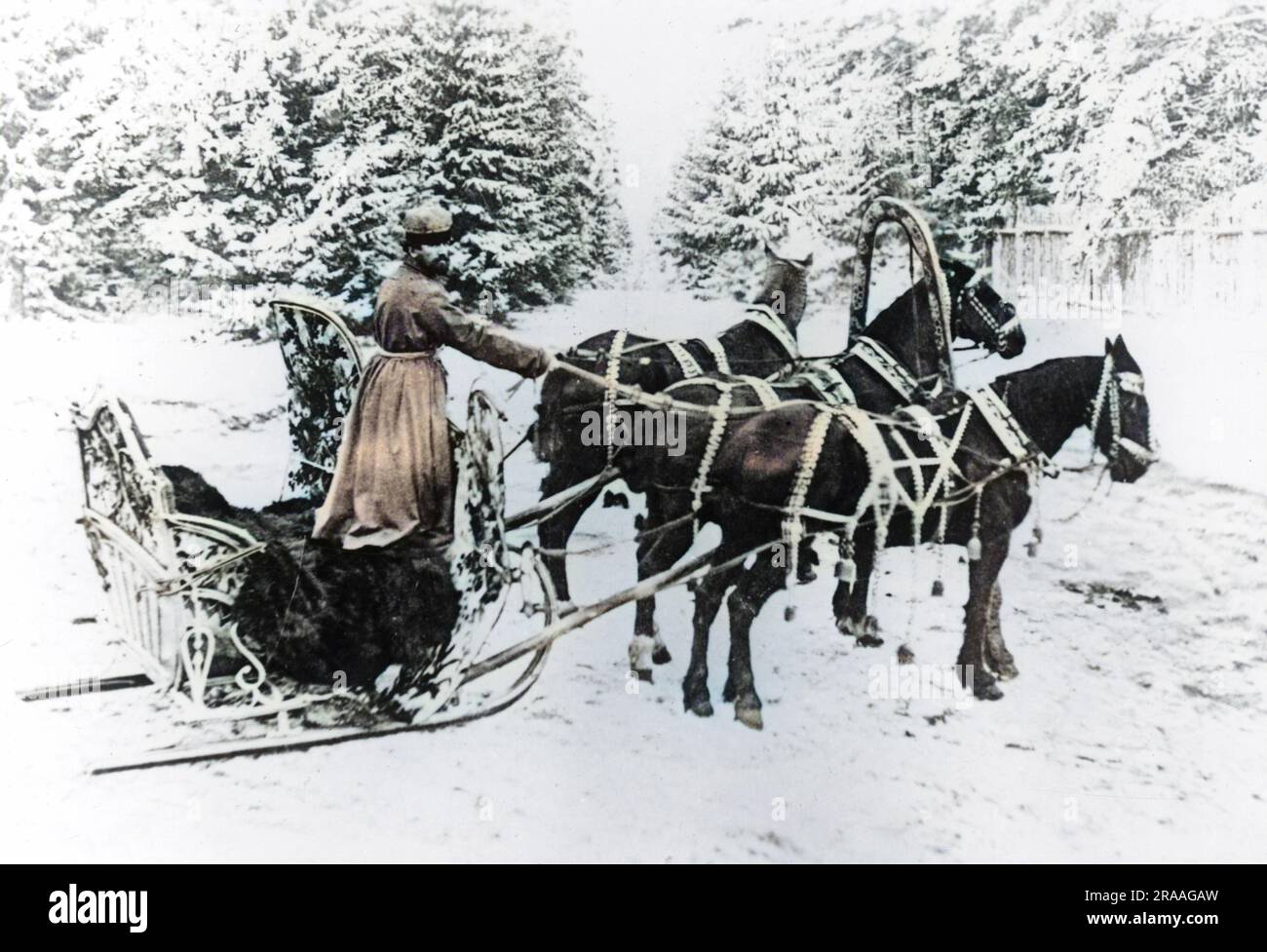 A late 19th century decorative Russian Horse Drawn sledge called a Trioka. Troika is the Russian word for 'triplet' or 'trio' this being reference to the fact that troikas have three harnesses as they are pulled by three horses.     Date: Late 19th century Stock Photo