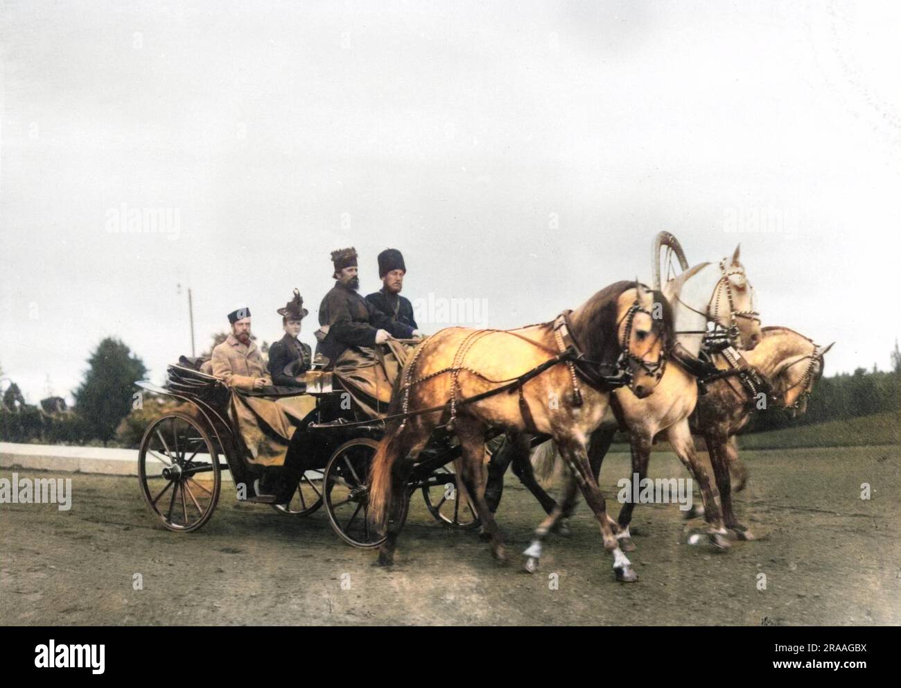 Tsar Nicholas II of Russia and his wife Alexandra Feodorovna in a  horse-drawn troika carriage. Troika is the Russian word for 'triplet' or 'trio' this being reference to the fact that troikas have three harnesses as they are pulled by three horses.     Date: circa 1900 Stock Photo