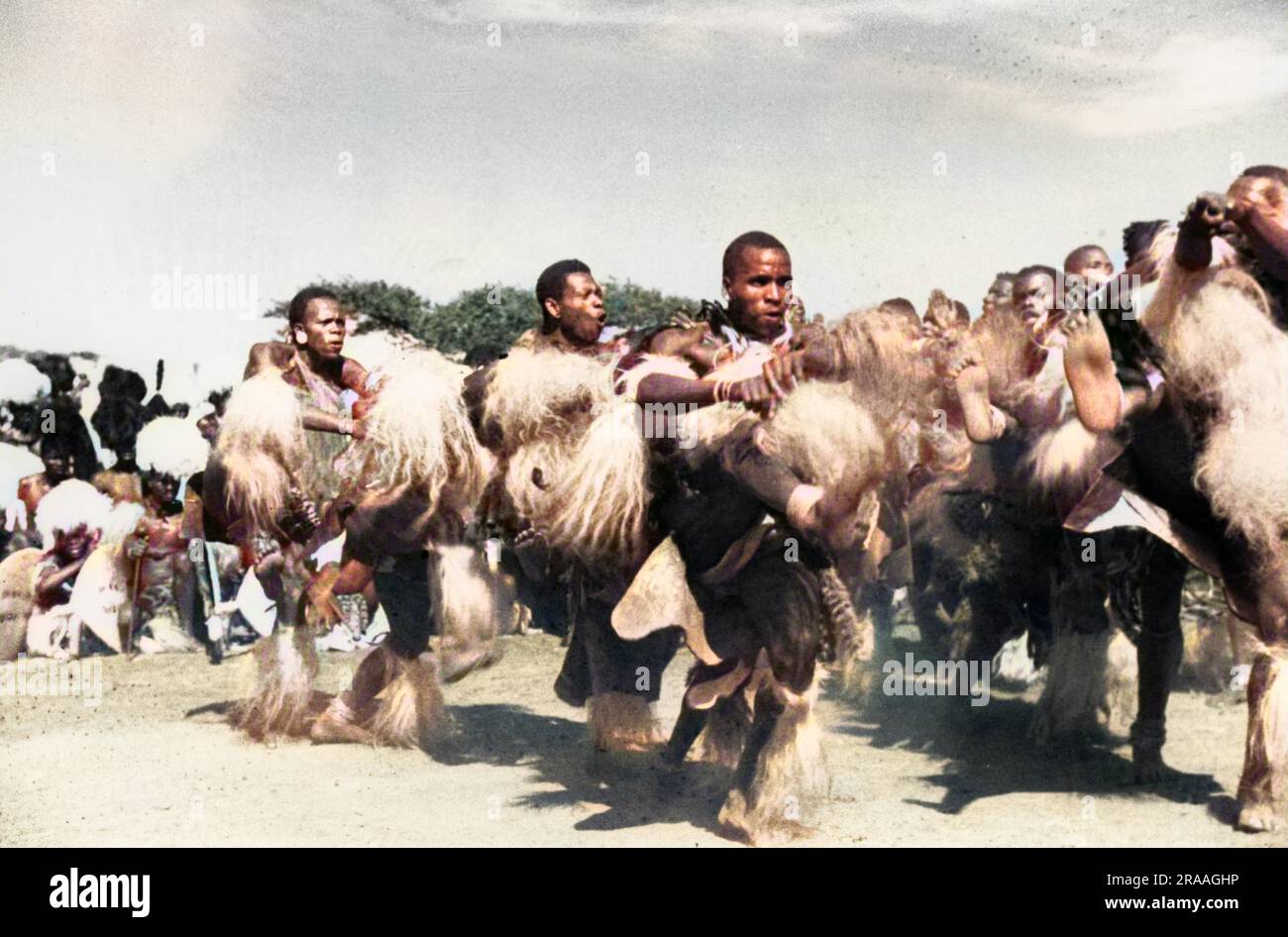 A group of Zulu Men dancing whilst wearing tresses as body adornments
