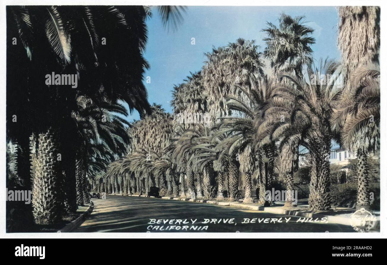 Beverly Drive, Beverly Hills, Hollywood, California, USA, lined with palm trees. Date 20th