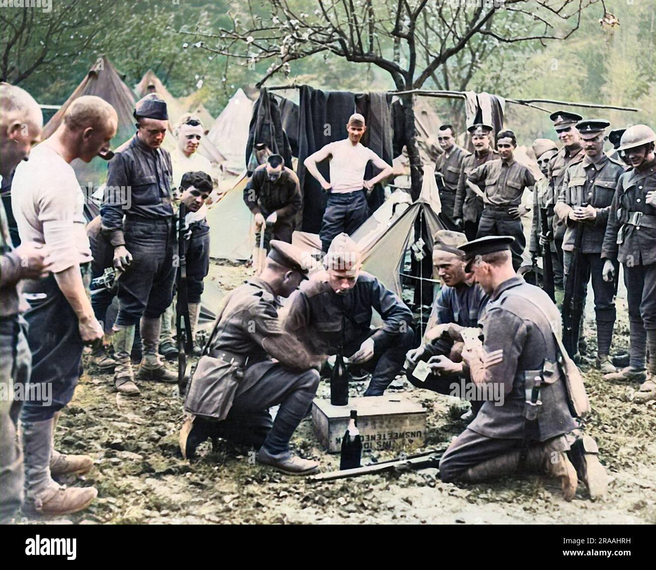 WW1-era photo postcard, American troops in bivouac WW1-era photo postcard, American troops in bivouac