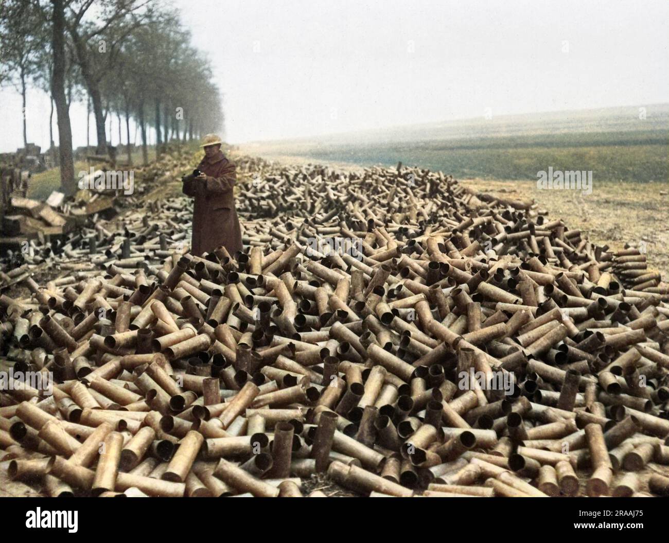 Empty British shell cases after their contents have been fired on the Western Front in France during World War One.     Date: circa 1916 Stock Photo