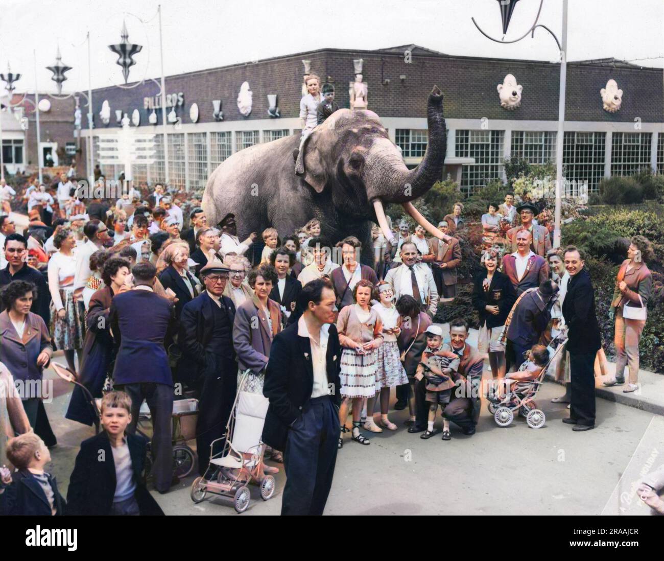 A crowd of holidaymakers at Butlin's holiday camp, Filey, pose with an obliging elephant known as Big Charlie. æBig CharlieÆ was moved from Ayr, Scotland to Filey in the late 1950s. Billy Butlin put an advert in The Times offering ú1,000 in cash for the safe delivery of Big Charlie over the distance. The advertisement caused a media storm and Big Charlie became an overnight celebrity. He was described by ButlinÆs publicity as ôthe largest elephant in captivityö.     Date: c.1959 Stock Photo