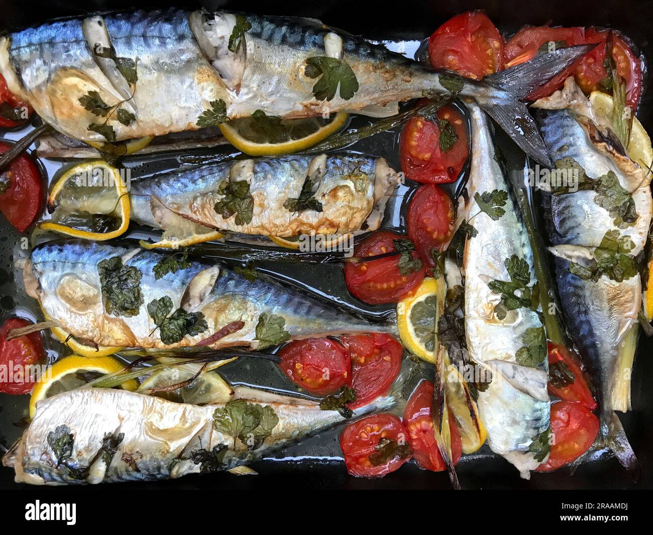 Roasted mackerel with cherry tomatoes and herbs Stock Photo