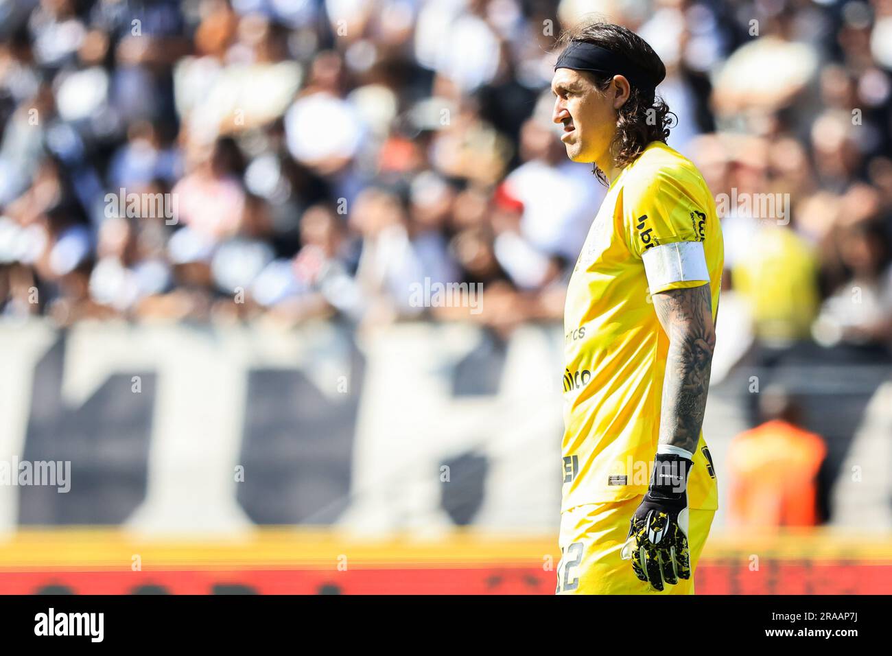 Sao Paulo, Brazil. 25th June, 2023. SP - SAO PAULO - 06/25/2023 -  BRAZILEIRO A 2023, PALMEIRAS X BOTAFOGO - Referee Anderson Daronco during  the match between Palmeiras and Botafogo at the