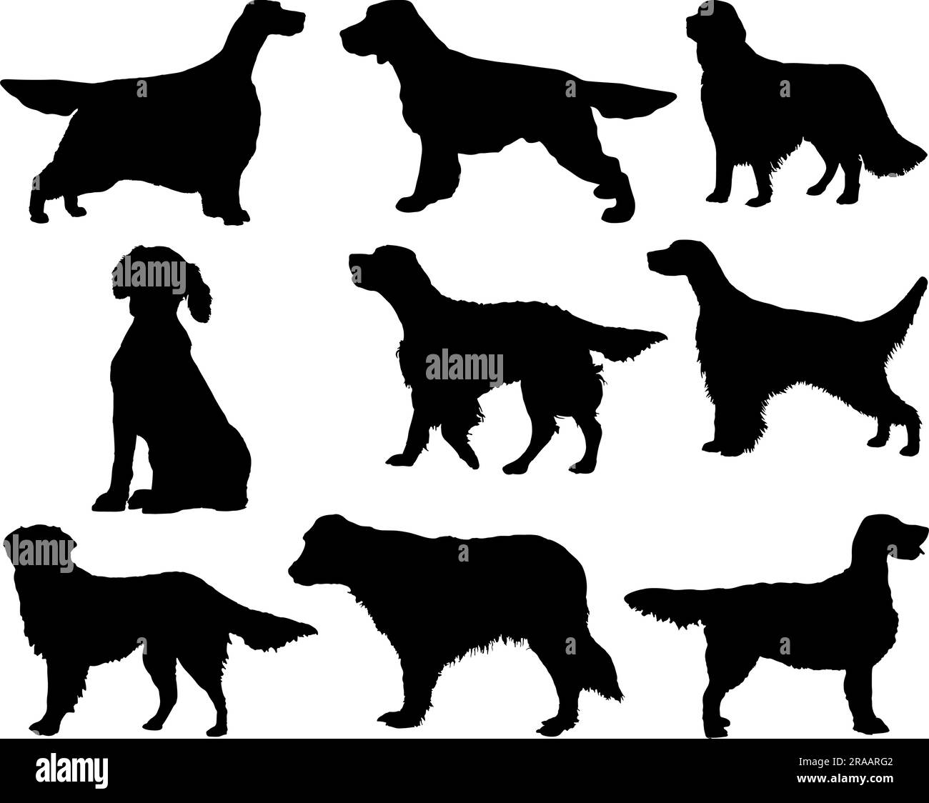 Set of English Terrier Dog Silhouette Stock Vector