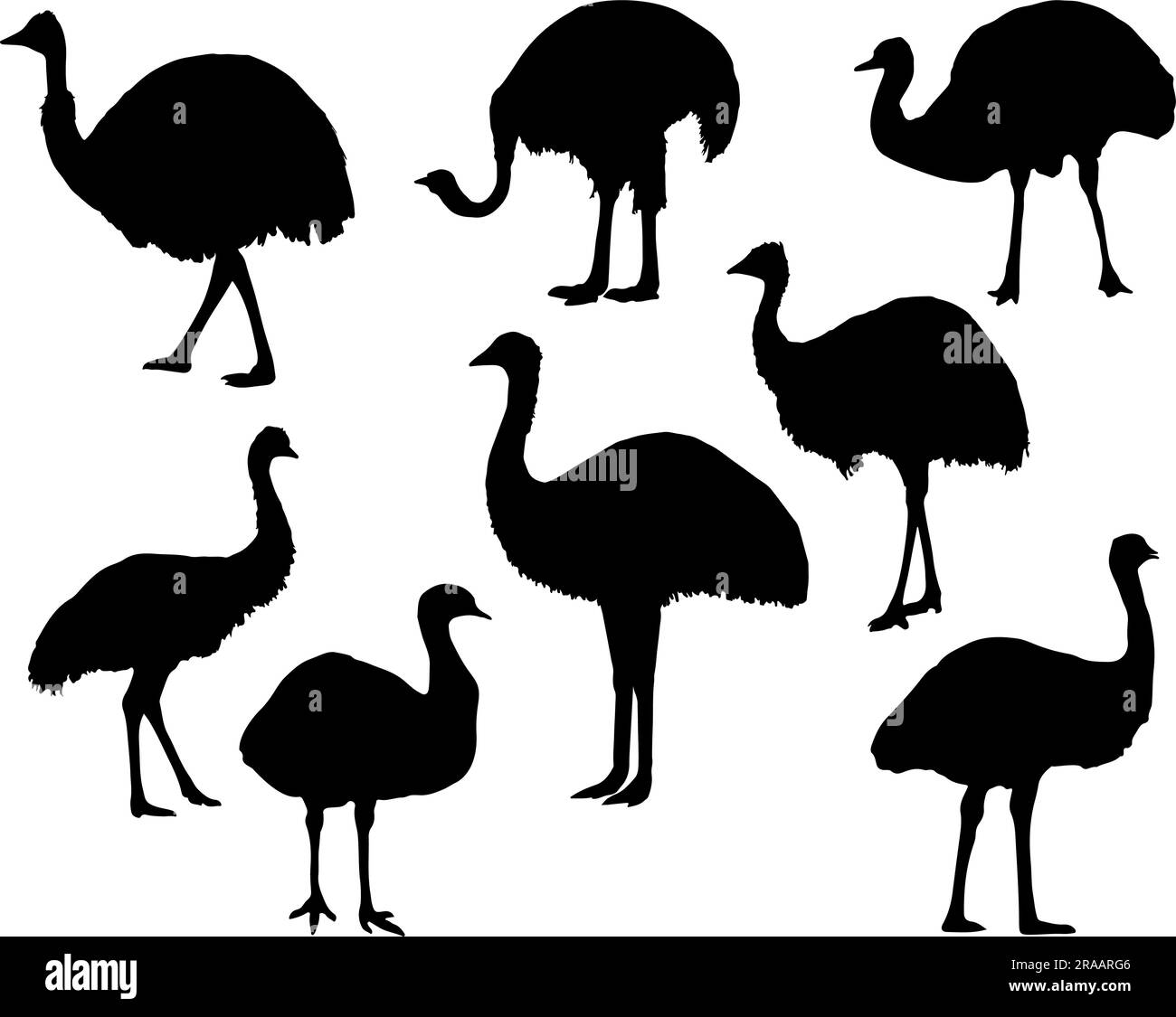 Set of Emu Silhouette Stock Vector Image & Art Alamy