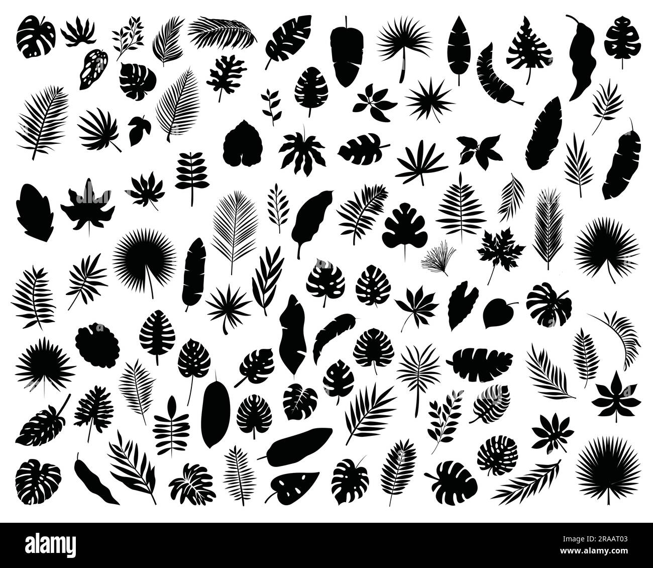 Set of Tropical Leaves Silhouette Stock Vector