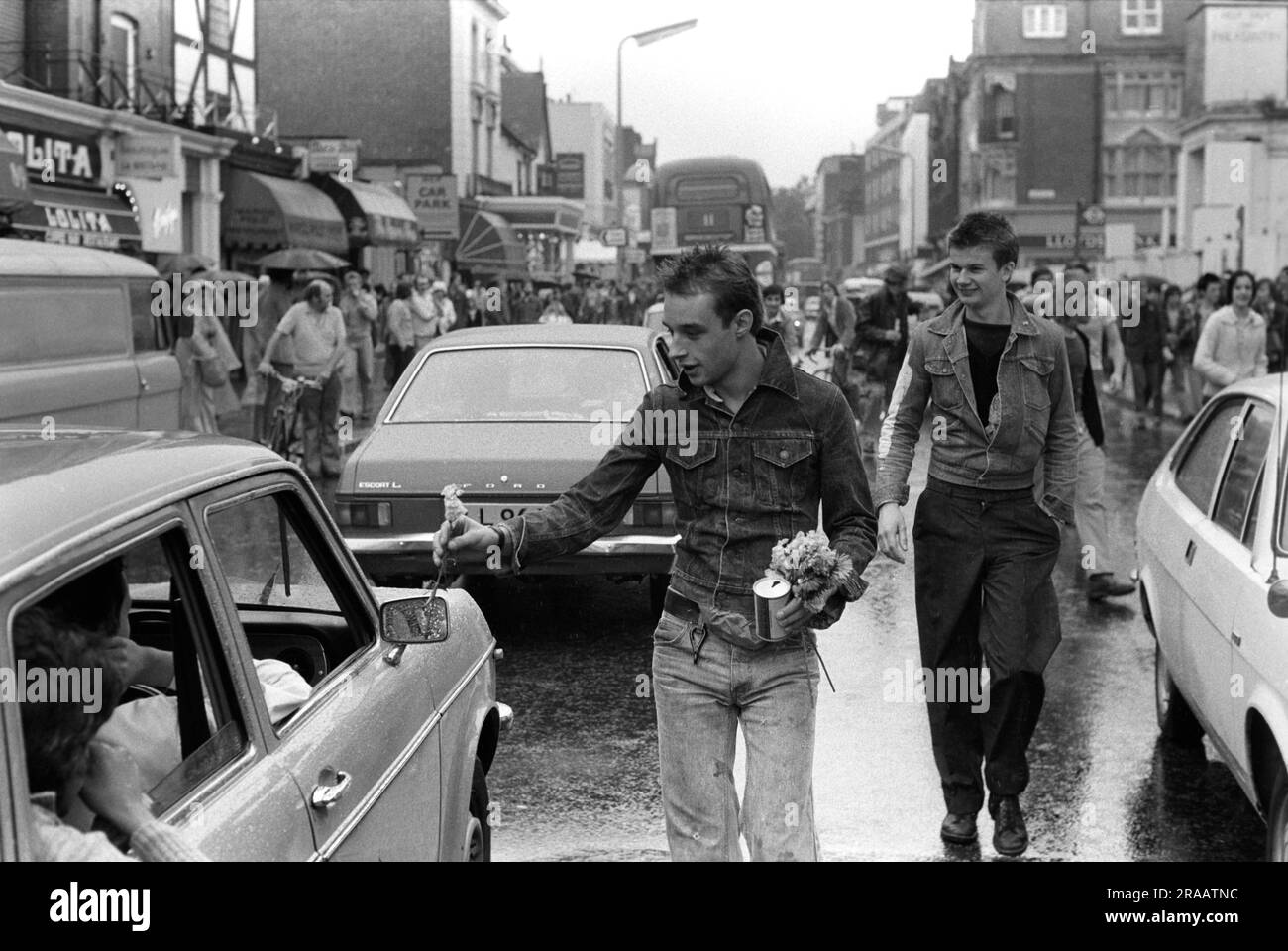 Punk, Mick Bladder hands out flowers to passing car drivers stuck in traffic in the Kings Road, Chelsea. A traffic jam they have caused by walking down the middle of the road. London, England circa 1977 1970s UK HOMER SYKES Stock Photo