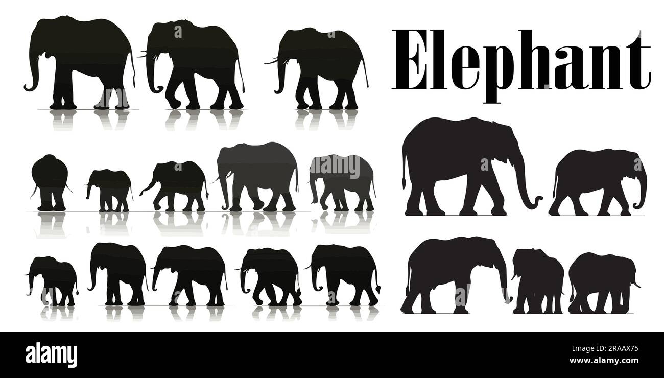 A set of Black Elephant vector illustration Stock Vector Image & Art