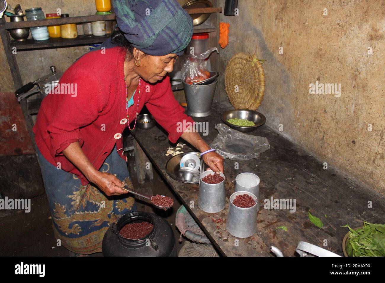 A woman prepares Tongba aka Nepali Beer from fermented millet in a