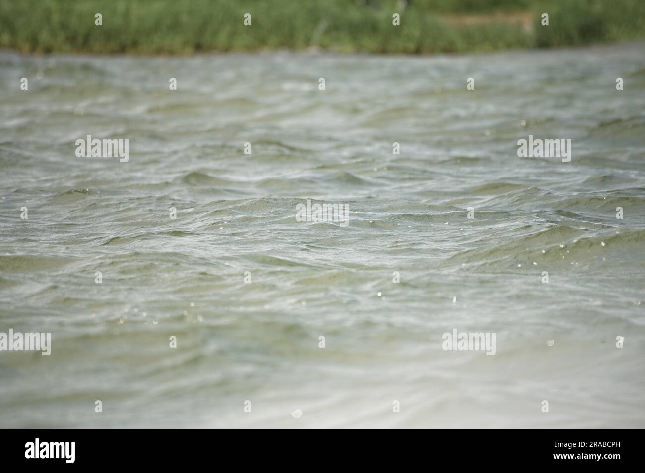 UNITED STATES - June 2023: Beacon Island, a small marshy island near ...