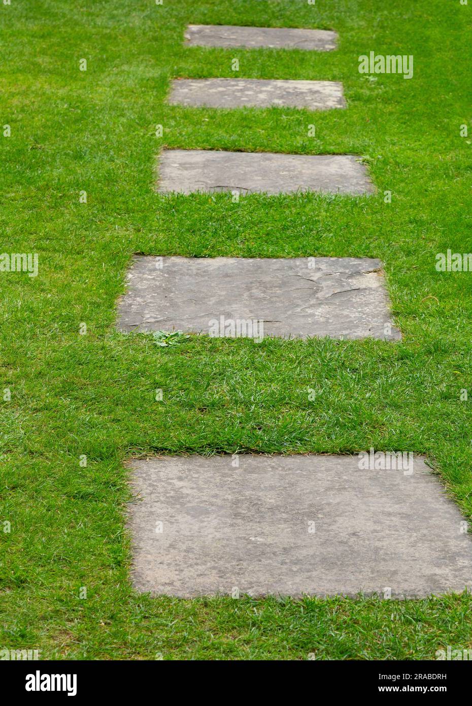 Neat lawn with stepping stones hires stock photography and images Alamy