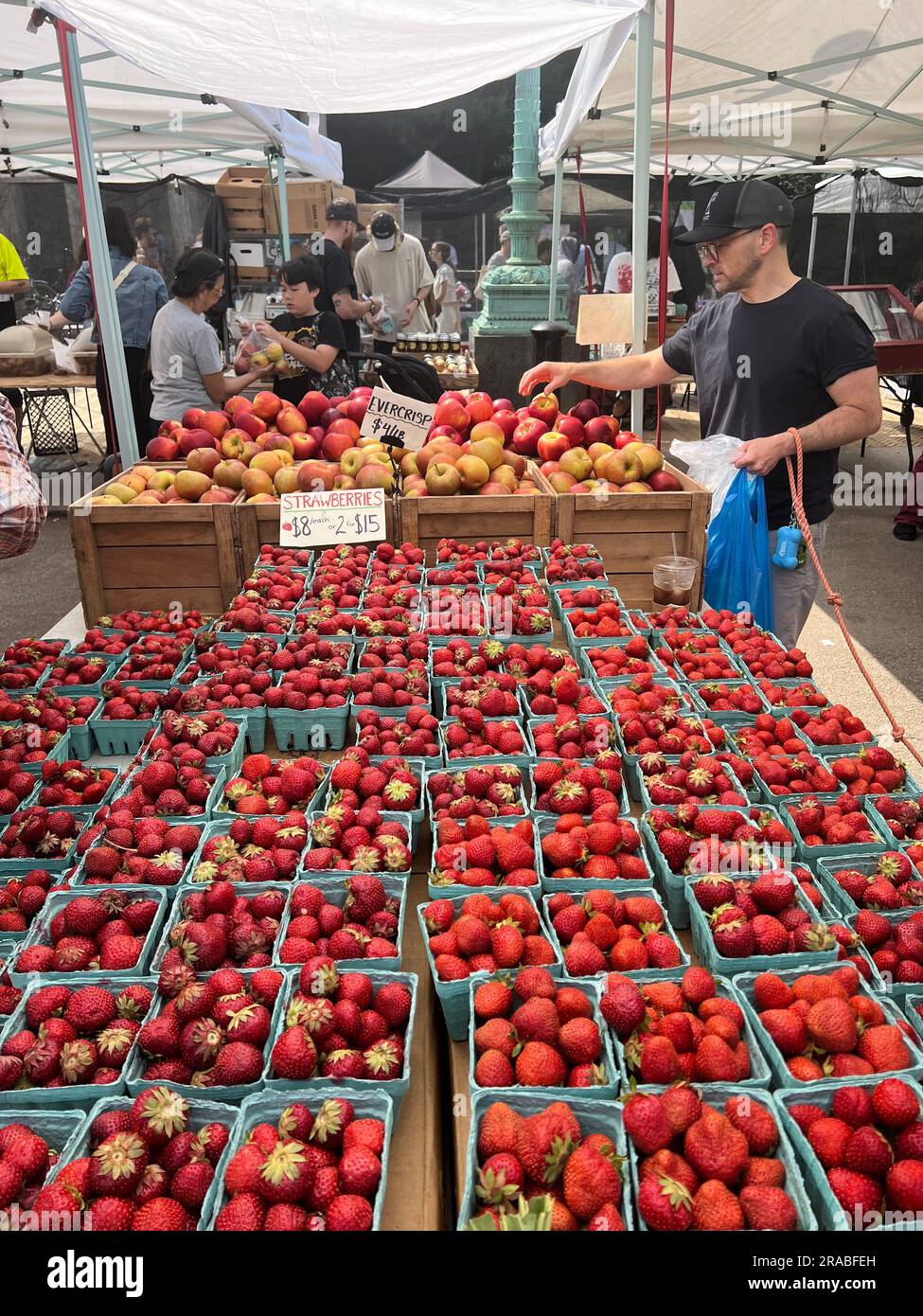Freshly picked local strawberries for sale at the Grand Army Plaza