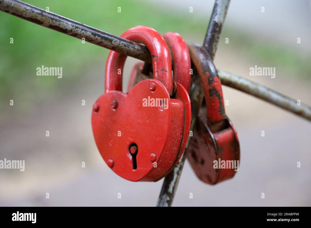 Padlocks in heart shape. Locks hanging in a park, symbol of eternal love Stock Photo