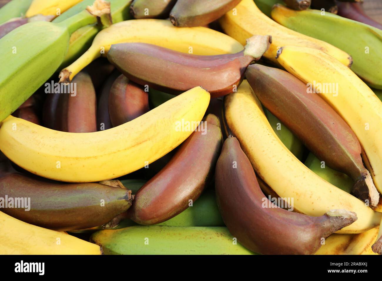 Different types of bananas as background, top view Stock Photo
