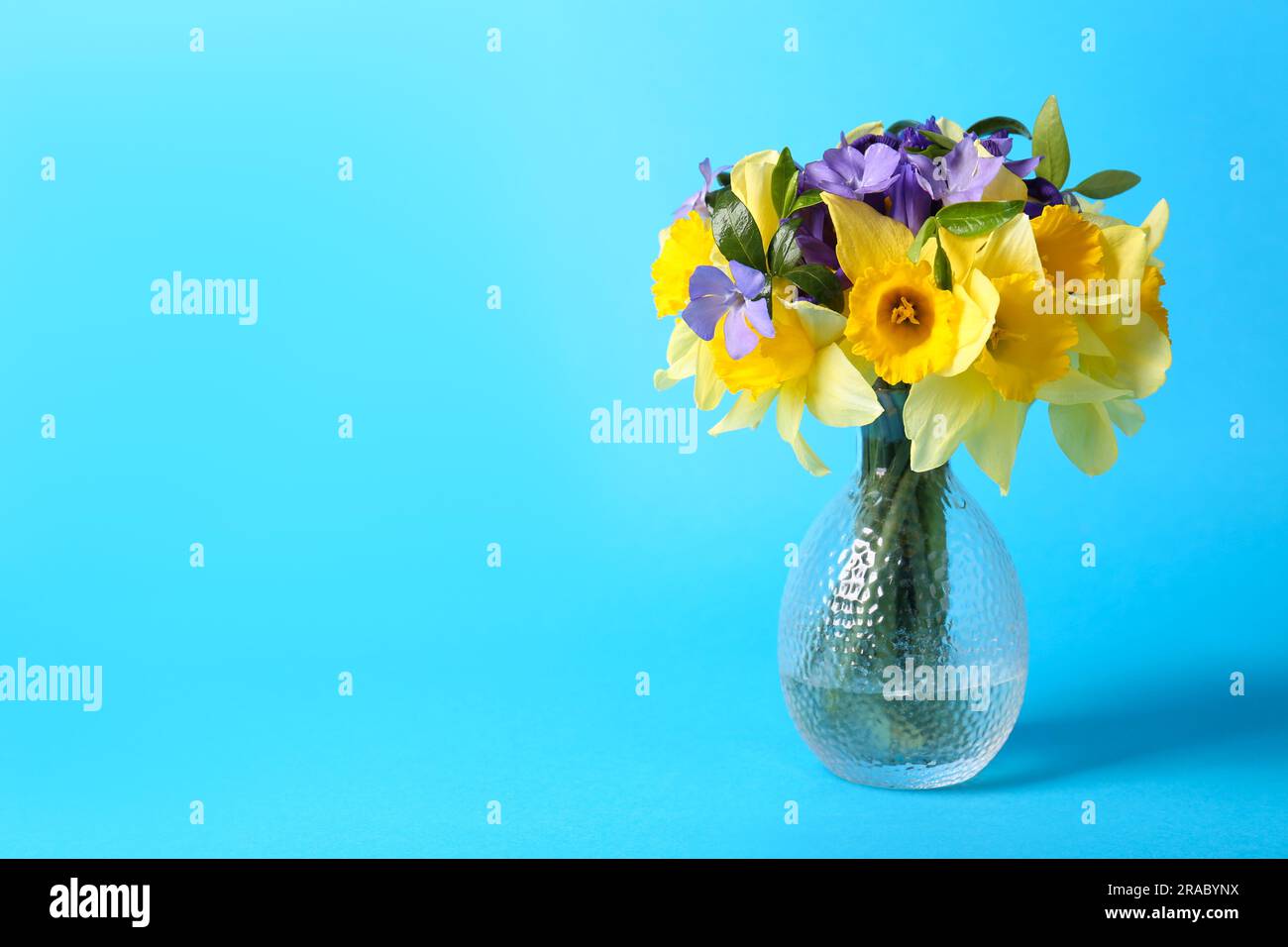 Periwinkle iris store
