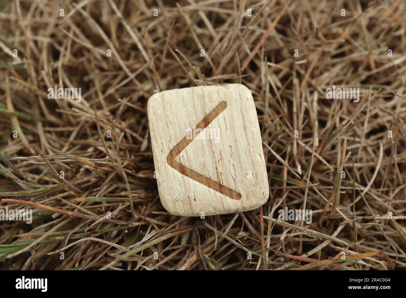 Kauna grass hi-res stock photography and images - Alamy
