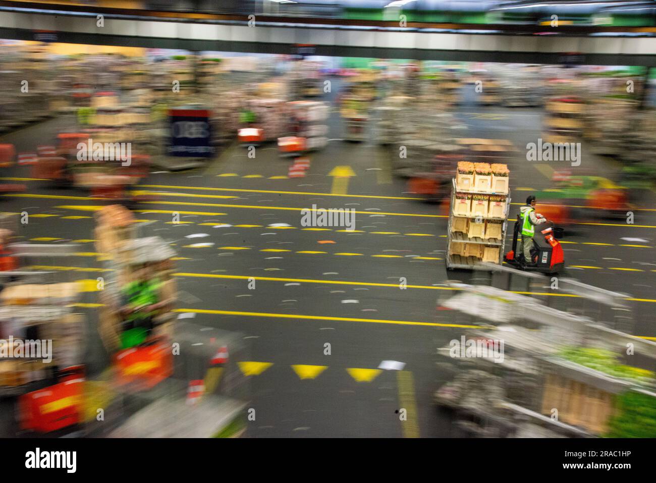 tugger carts and flower boxes at Flora Holland flower auction in the Netherlands Stock Photo Alamy