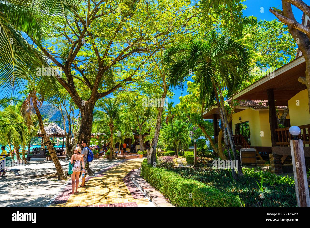 Bungalows houses, trees and coconut palms on Ko Phi Phi Don Island on a