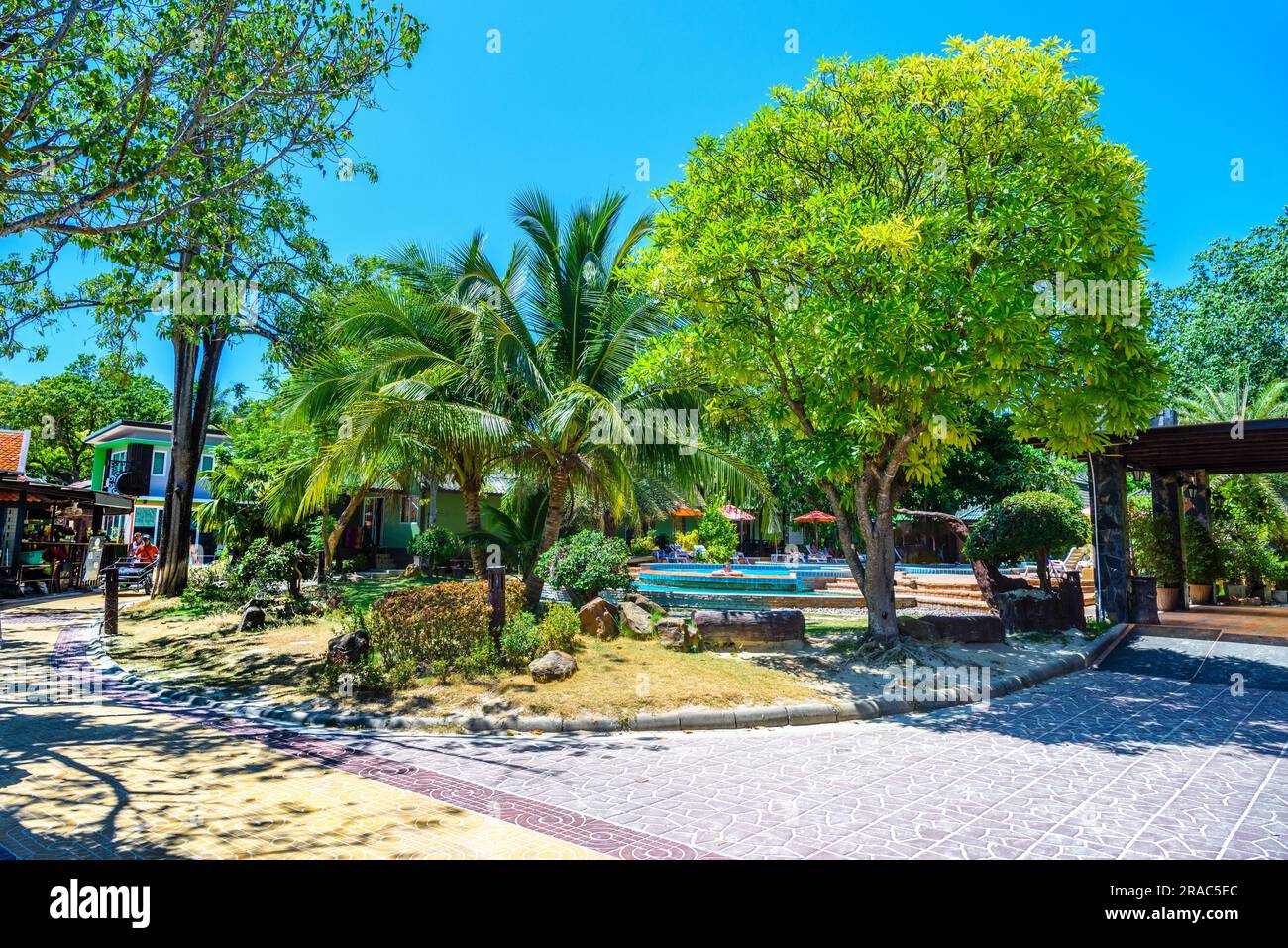 Bungalows houses, coconut palms and swimming pool on Ko Phi Phi Don