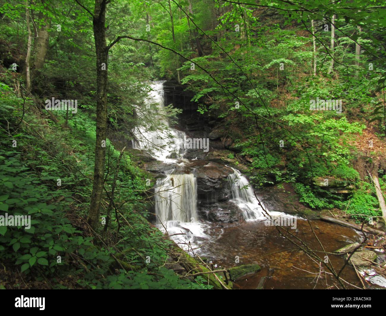 Tuscarora Falls tumbles through Ricketts Glen State Park in Benton, Pennsylvania. Stock Photo