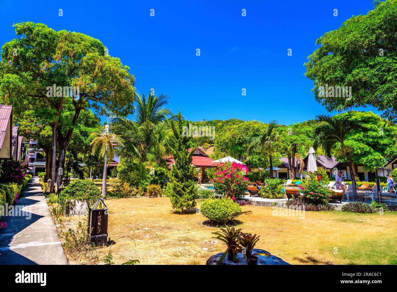 Bungalows houses, trees and coconut palms on Ko Phi Phi Don Island on a