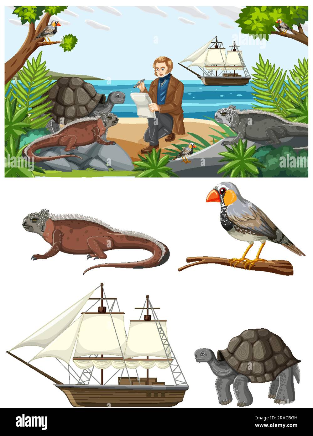 Charles Darwin with Animals Set illustration Stock Vector