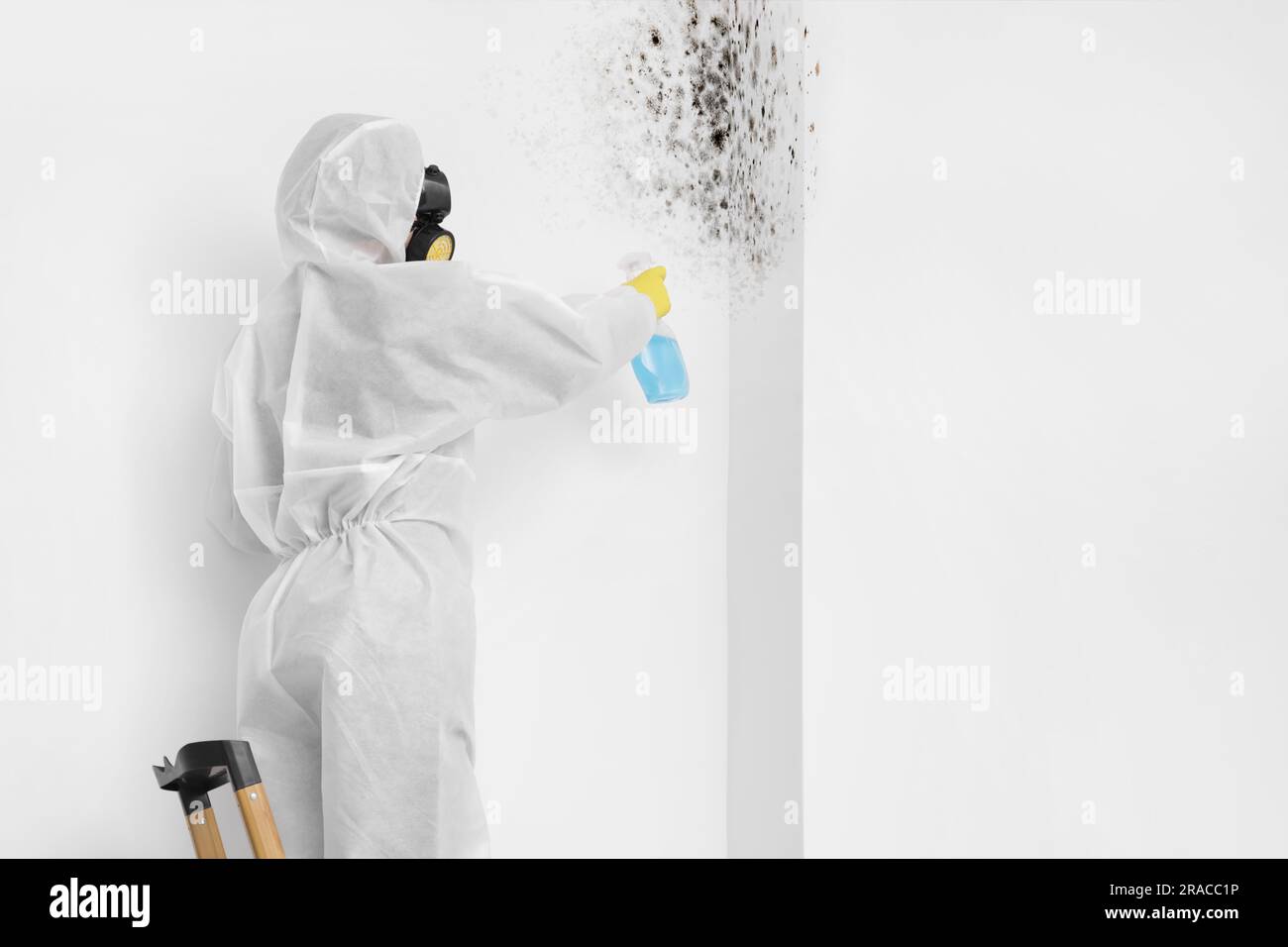 Woman in protective suit and rubber gloves using mold remover on wall Stock Photo