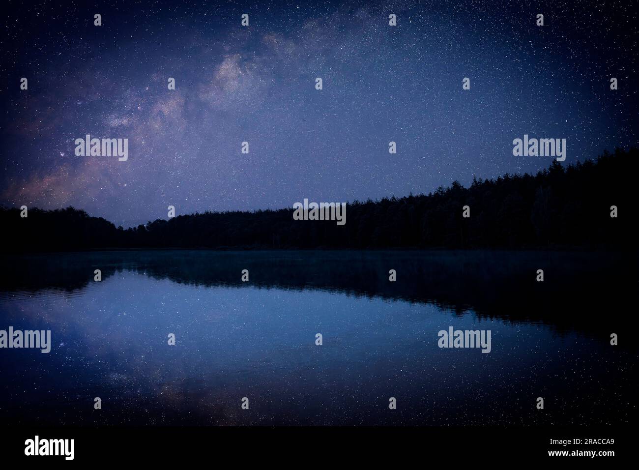 Amazing starry sky trees hi-res stock photography and images - Alamy