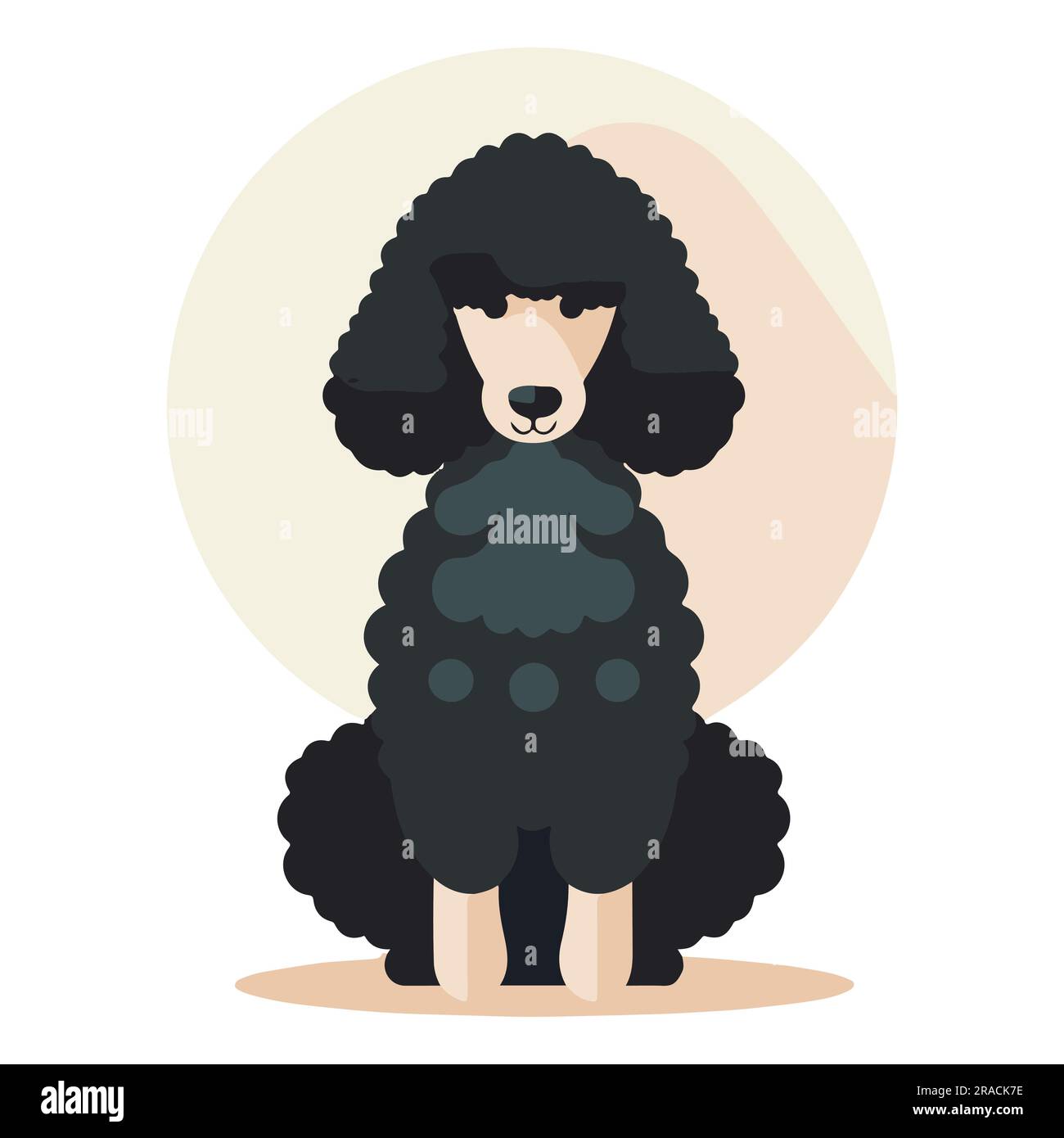 Cute Poodle Dog Flat vector illustration Stock Vector Image & Art - Alamy