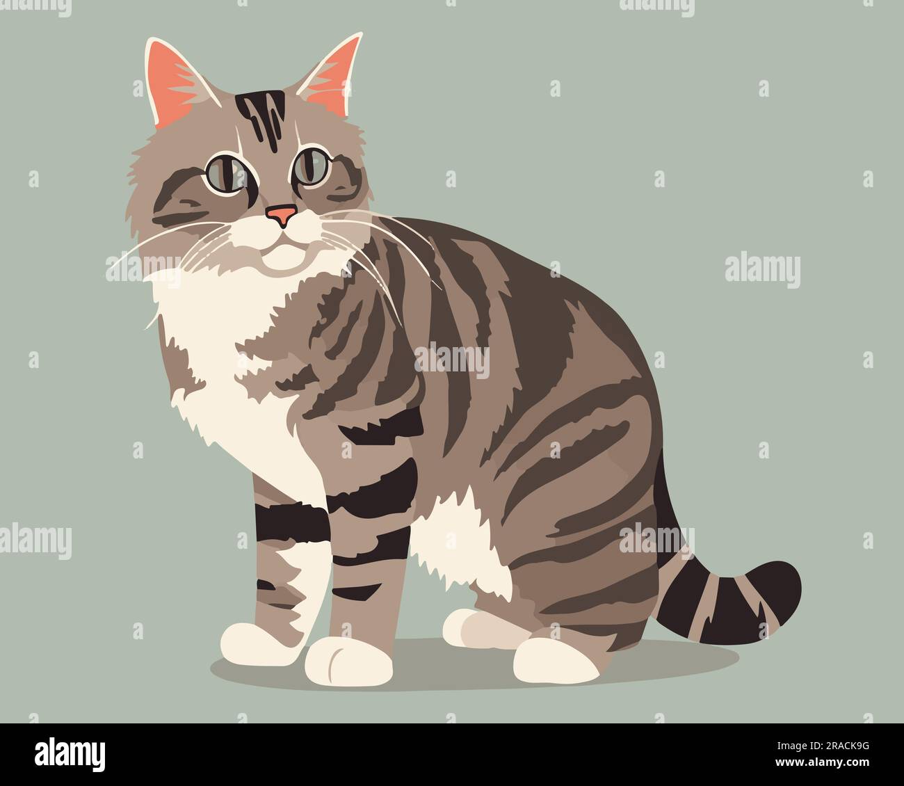 A Standing Bangla cat vector illustration Stock Vector Image & Art Alamy