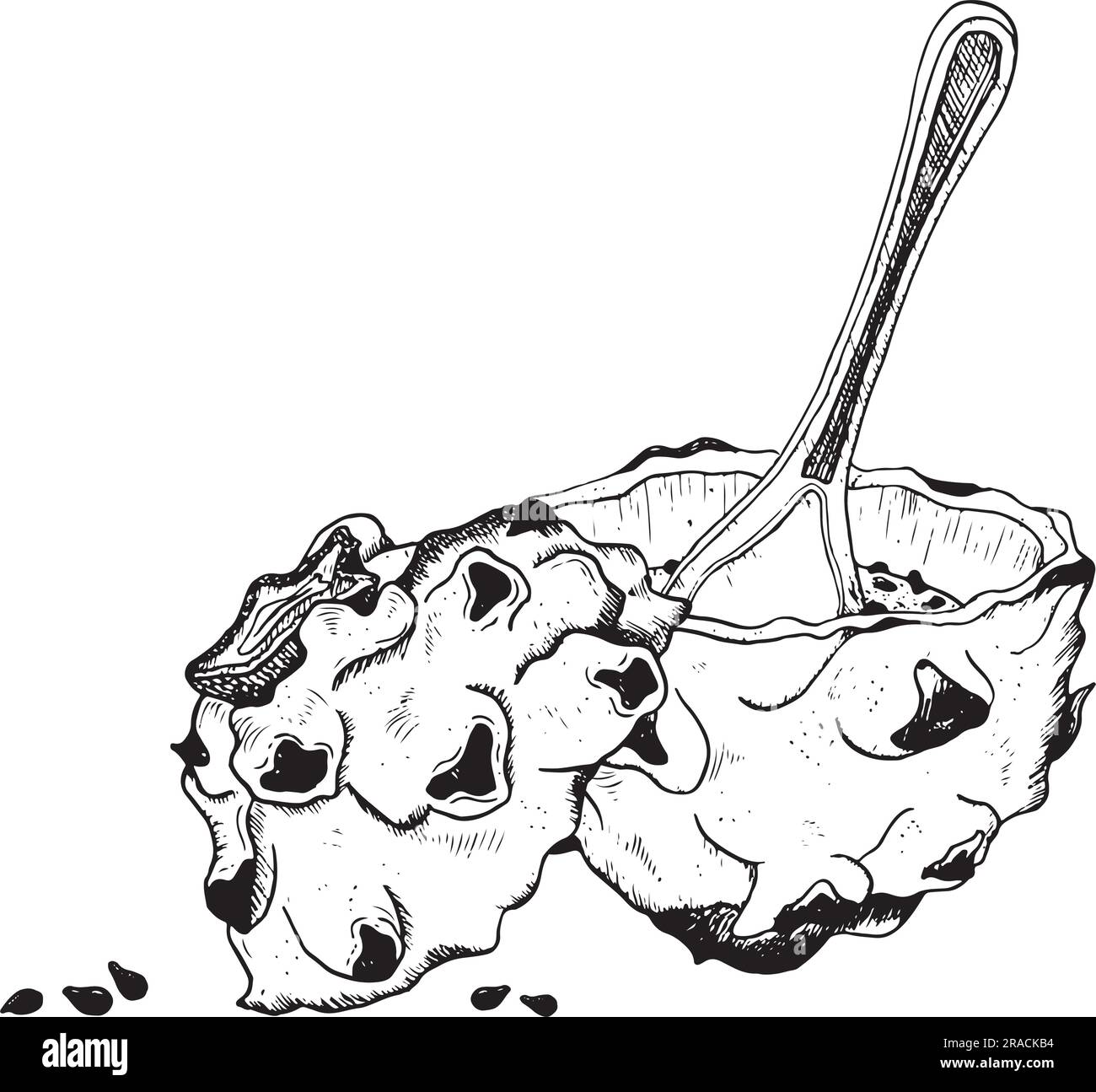 Black and white dragon fruit half dessert with a slice and seeds vector