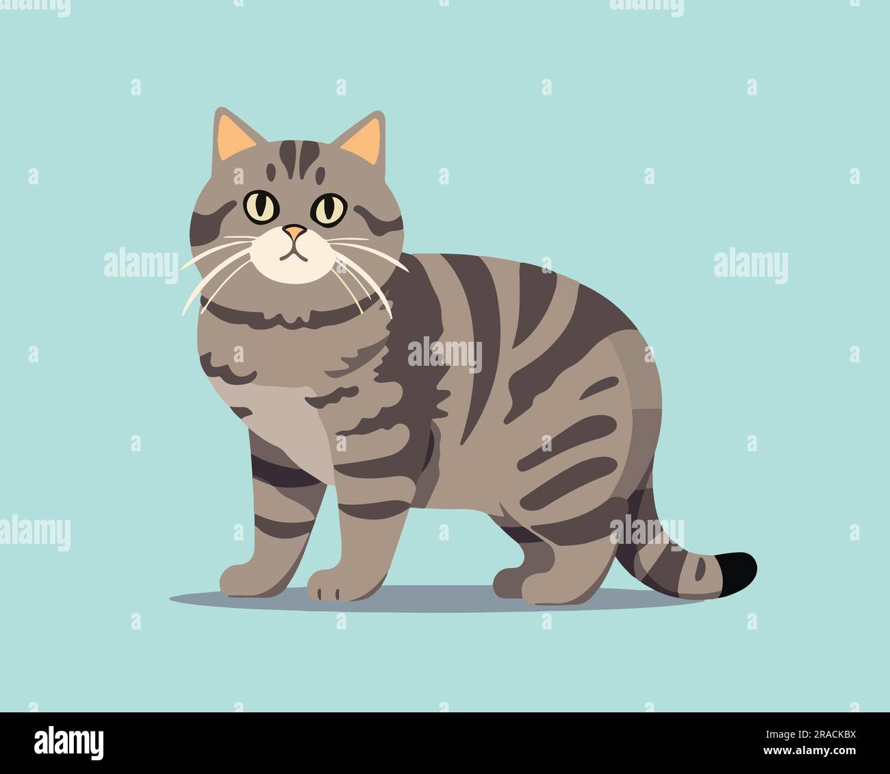 Flat cat vector illustration Stock Vector Image & Art - Alamy