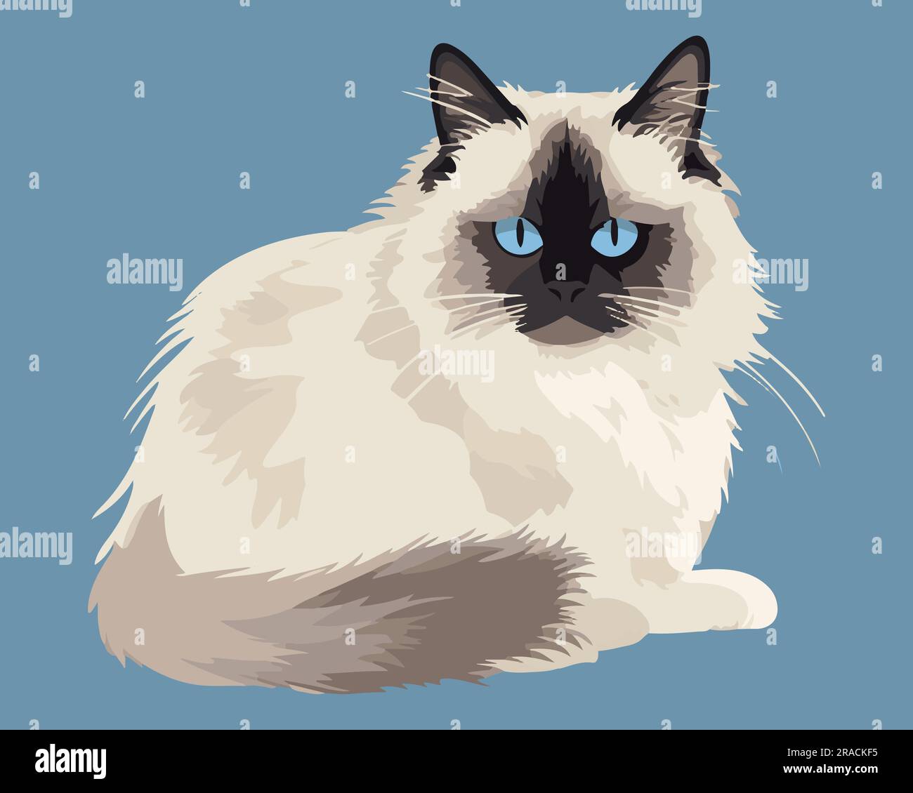 Irritated cat Stock Vector Images - Alamy