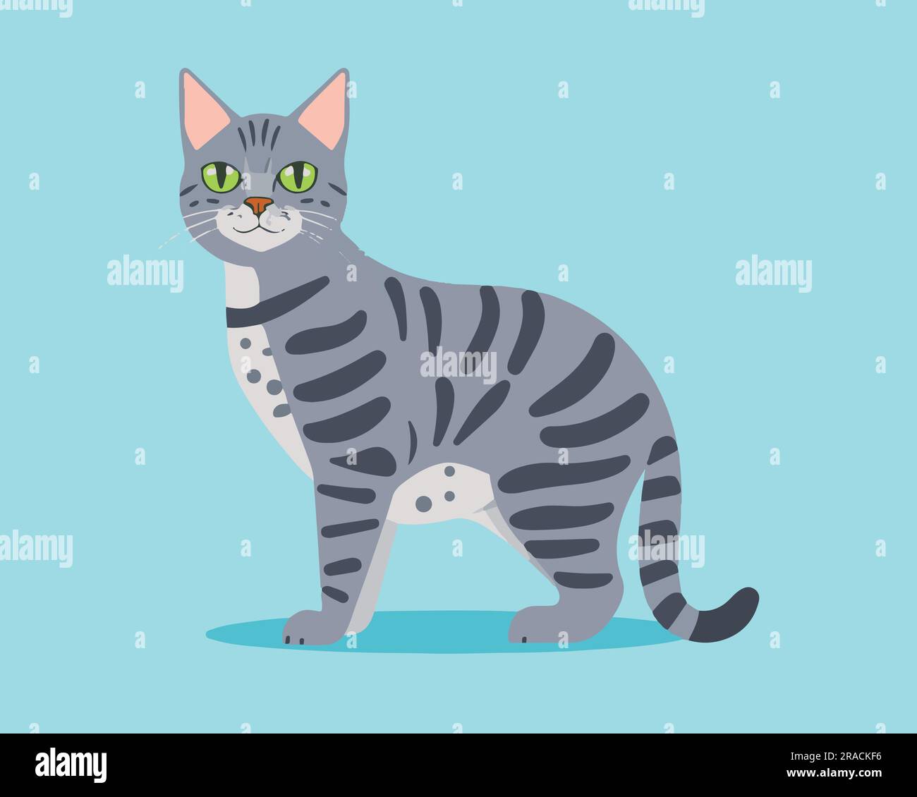 A set of Cute Flat cat vector illustration Stock Vector