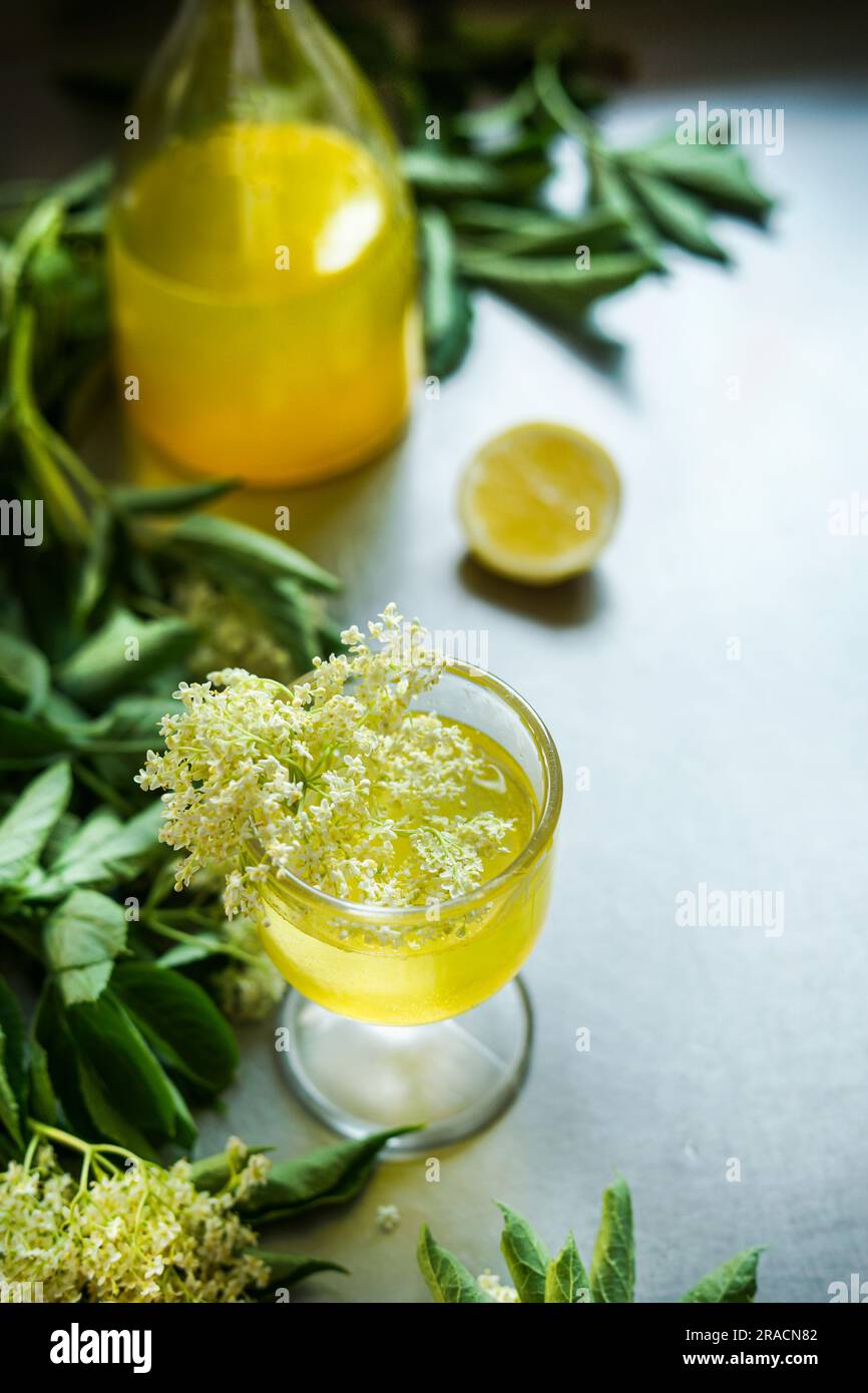 Glass with Elderflower liqueur on table with bottle, lemon and green leaves. Stock Photo